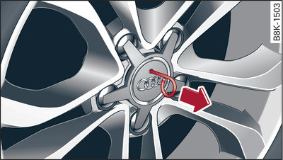 Wheel: Hubcap